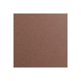 CARTULINA FIRENZE DE 160 G 70X100 CM