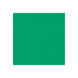 CARTULINA ASTROBRIGHTS DE 176 G 58X89 CM