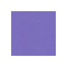 CARTULINA ASTROBRIGHTS DE 176 G 58X89 CM
