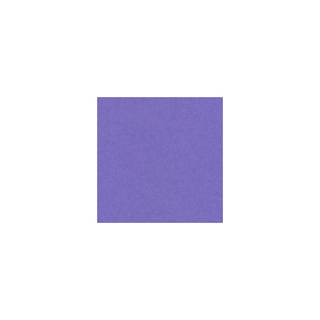 CARTULINA ASTROBRIGHTS DE 176 G 58X89 CM