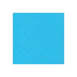 CARTULINA ASTROBRIGHTS DE 176 G 58X89 CM