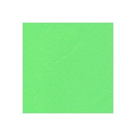 CARTULINA ASTROBRIGHTS DE 176 G 58X89 CM