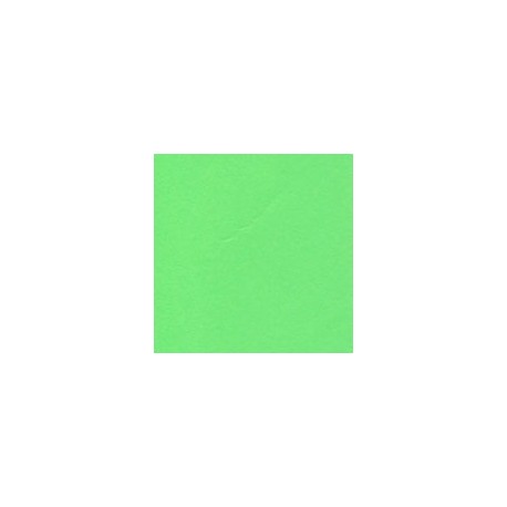 CARTULINA ASTROBRIGHTS DE 176 G 58X89 CM