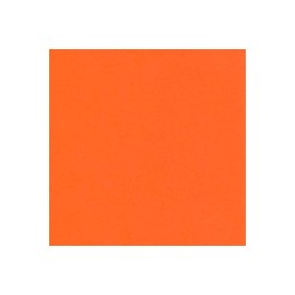 CARTULINA ASTROBRIGHTS DE 176 G 58X89 CM