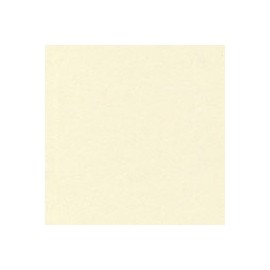 PAPEL SUNDANCE SMOOTH DE 104G 63.5X96.5CM