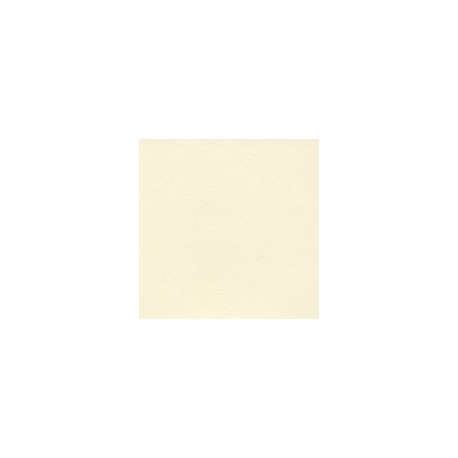 PAPEL SUNDANCE FELT DE 104G 63.5X96.5CM