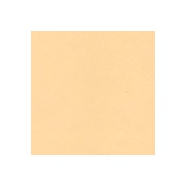 BRISTOL COLOR MANILA FOLDER 61X95CM 200G