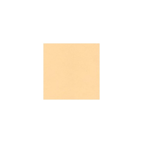 BRISTOL COLOR MANILA FOLDER 61X95CM 200G