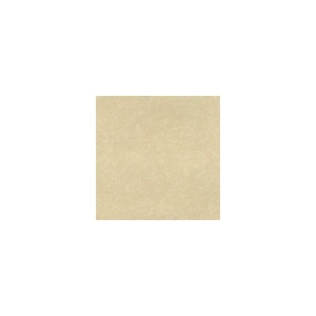 PAPEL ASTROPARCHE DE 90G 58X89CM