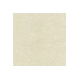 PAPEL ASTROPARCHE DE 90G 58X89CM