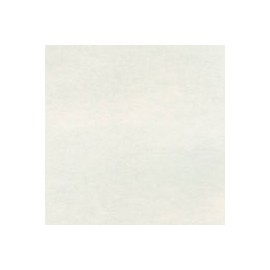 PAPEL ASTROPARCHE DE 90G 58X89CM