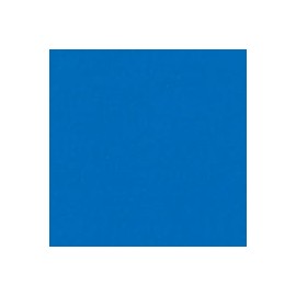 PAPEL LUSTRE