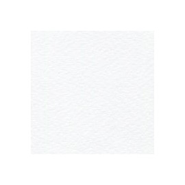 PAPEL RUSTICUS 95G 72X101CM