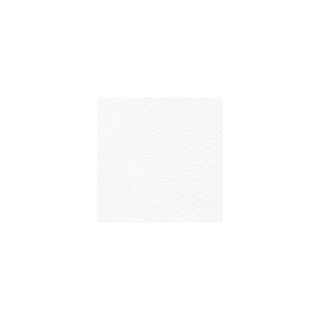 PAPEL RUSTICUS 95G 72X101CM