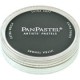 PANPASTEL DE 9 ML