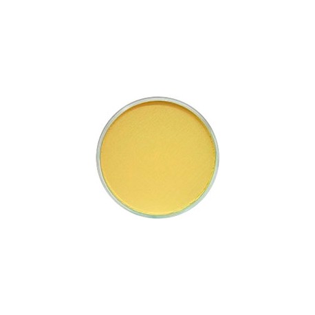 PAN PASTEL DE 9 ML