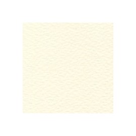 PAPEL RUSTICUS 95G 72X101CM