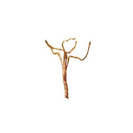 ÁRBOLES DE ALAMBRE 2-4 CM
