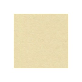 PAPEL INGRES