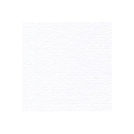 CARTULINA FABRIANO CLÁSICO 160G 50X70CM