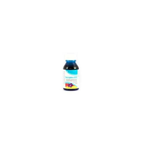 PINTURA PARA VITRAL RODIN LISA 30 ML