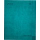 CUADERNO PROFESIONAL NORMA DAIL RAYA 100 HOJ ...