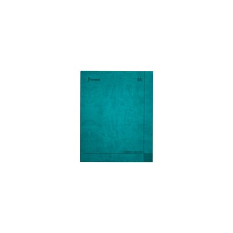 CUADERNO PROFESIONAL NORMA DAIL RAYA 100 HOJ ...