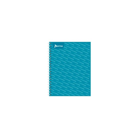 CUADERNO PROFESIONAL NORMA CUADRO GRANDE 100 ...