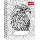 CUADERNO PROFESIONAL SCRIBE POLYCOVER CUADRO ...