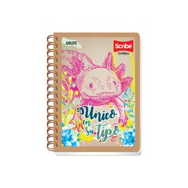 CUADERNO FORMA FRANCESA SCRIBE ECOLÓGICO CUA ...