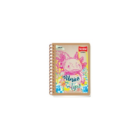 CUADERNO FORMA FRANCESA SCRIBE ECOLÓGICO CUA ...