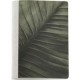 LIBRETA MIQUELRIUS LEAF NB LISO 15.2X21 CM